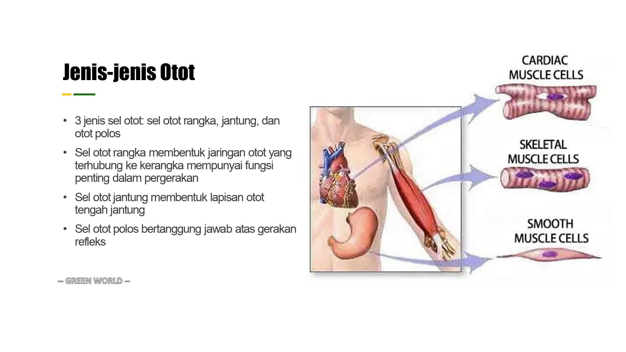 Education content image